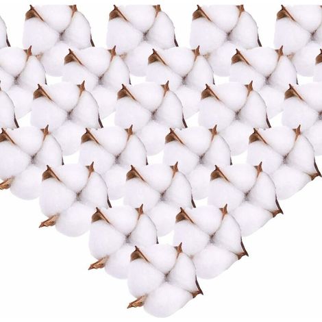 VURAHOME -Fleur de Coton Naturelle Tête de Fleurs Séchées Coton Decoration Blanc ave Tige Courte pour Hiver Noël DIY Mariage Couronne Artisanat Maison Cadeau Style Ferme 6.5cm 50Pcs (1/5)