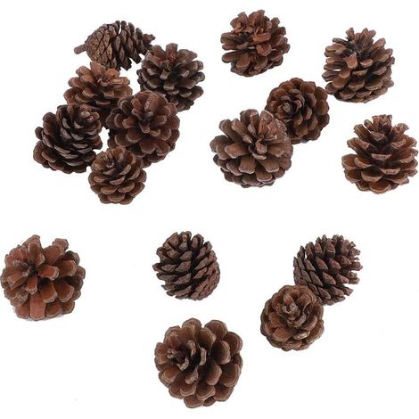 Décor De Pommes De Pin 16 Pièces, Ornements d'arbre De Noël Et De Couronne écologiques, Adaptés à Plusieurs Vacances Et Artisanat (1/5)