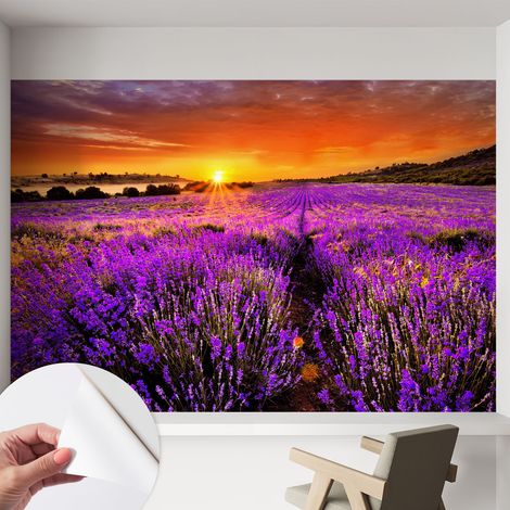 Papier peint adhésif autocollant pour salon chambre à coucher peint imprimé pour mur Coucher de soleil lavande 152x104 cm (1/5)