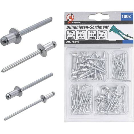 Assortiment de Rivets Pop D.2,4-4,8 mm - 100 pcs - Acier Résistant - Fixation Fiable et Rapide - D-Work (1/5)