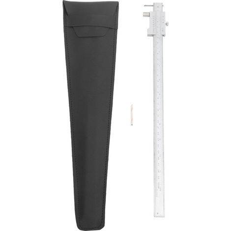 Pied à coulisse en acier inoxydable, règle à tracer parallèle avec tête en carbure, outil de traçage multifonctionnel 0-300 mm (1/5)