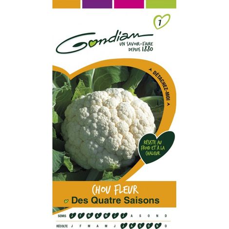 Gondian - Chou Fleur Des Quatre Saison