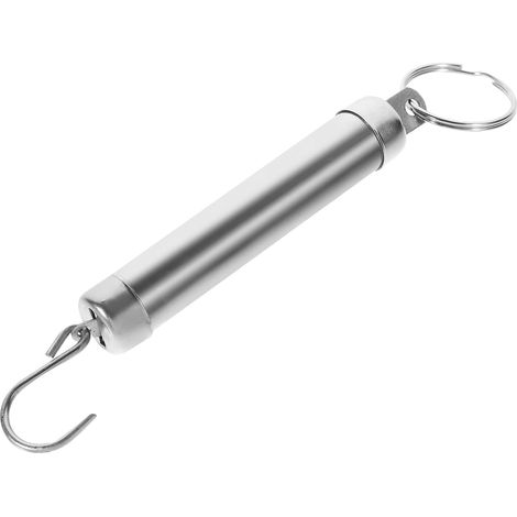 Balance de cuisine Balance à bagages 5 Kg En Acier Inoxydable Argent (1/5)