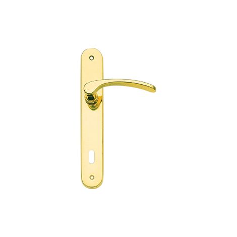 Guarnitura con placca serie Eva - 90 mm. - foro chiave - ottone lucido