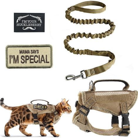 Harnais Chat, Harnais pour Chat Anti Evasion, Respirabilité Réglable Colliers et Laisse pour Chats, avec Emblèmes Brodés Réfléchissante Laisse Chats (Kaki, M) (1/5)
