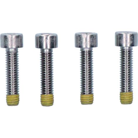 Ersatzteil Zyl.Schraube M 6 x 25 (4Stück)