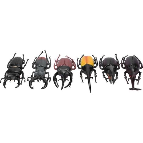6-teiliges Insektenmodell Käfer-Simulationsset, Halloween-Accessoire, ungiftiges PVC-Spielzeug (Schwarz) (1/5)