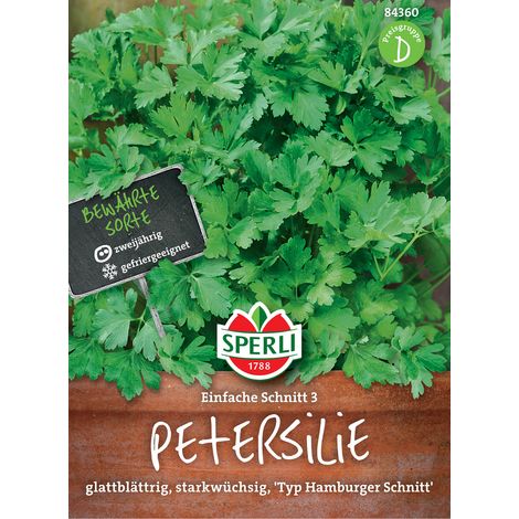 Sperli Petersilie Einfache Schnitt 3 - Kräutersamen (1/3)