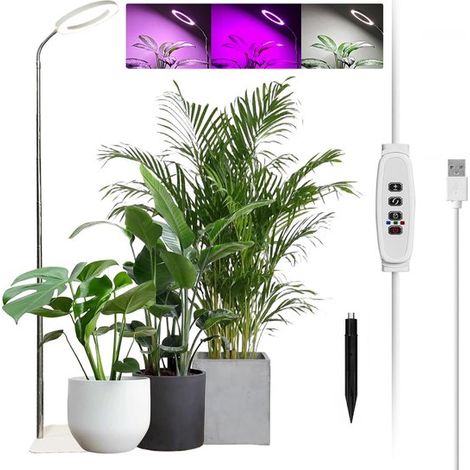 Lampe de croissance LED - Spectre complet 10 W pour plantes - Lampe d'intérieur blanche réglable de 155 cm avec socle et piquet - 3 modes d'éclairage, minuterie 3/9/12 h - pour plantes d'intérieur et (1/5)