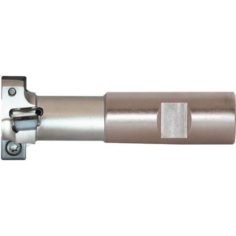 Fraise pour rainures en T D. nominal 25 mm nickelé avec refroidissement intérieur nombre de lames 4 SPMT 060304 (1/2)