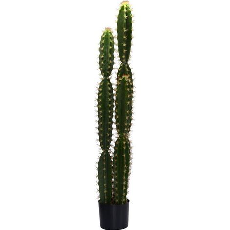 Pianta cactus con vaso tondo cmø18h124