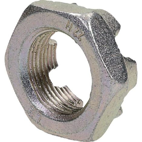 Tuerca almenada DIN937-M24 x 1,5-2 LEMKEN 3030193