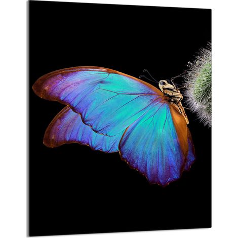 Glasschneidebrett 40x52 Schmetterling (1/5)