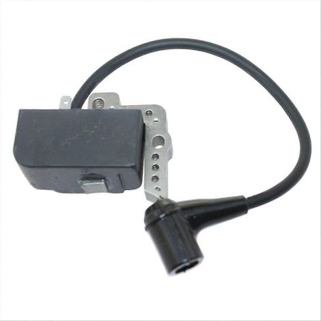 Bobine d'allumage 15662639431 pour -3000 -3050 -3400 -3450 -3500 -3501 15662639430 15662639130 15662660931 (1/5)
