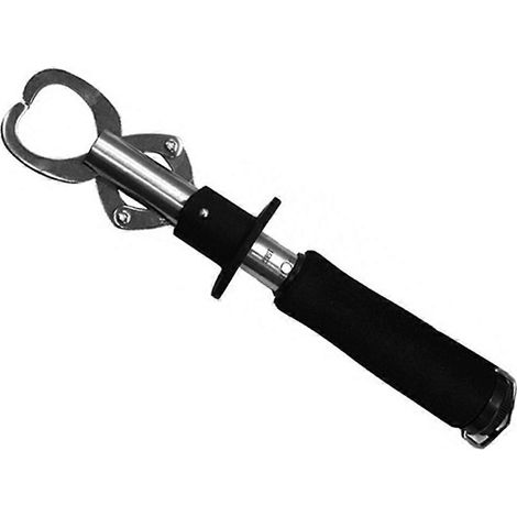 Edelstahl-Bandwaage mit Lineal und Fischkontrolle, D-- (1/5)