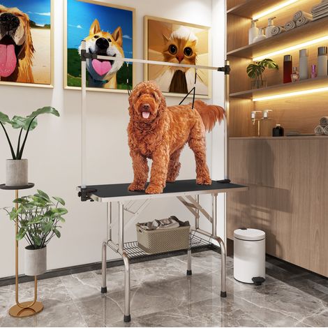 Mesa de peluquería para perro plegable y ajustable en altura 107 x 60 x 170 cm negra HAVRYA (1/3)