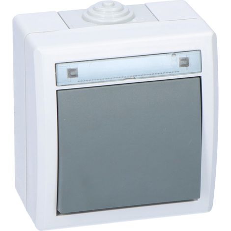 Interruptor unipolar, bidireccional, de superficie, IP55, gris, AQUANT (1/2)