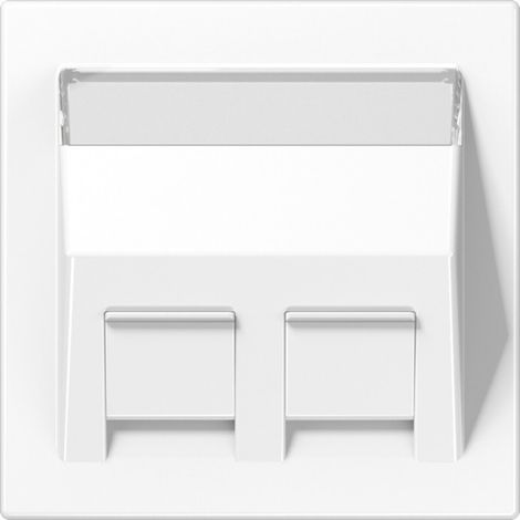 Jung Abdeckung für Montageadapter 30°, 2fach, mit Schriftfeld, Thermoplast, Serie LS, alpinweiß LS 569-30 BF PL WW (1/2)