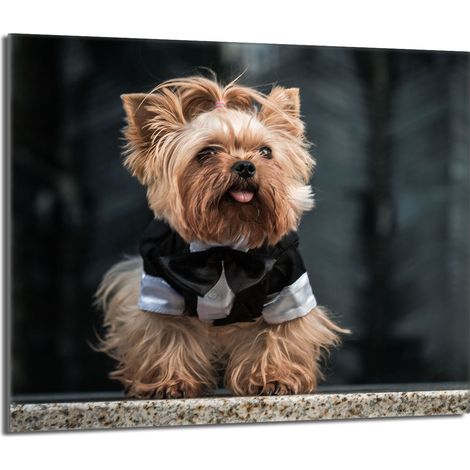 Protector de cristal para estufa 60x52 Perro (1/5)