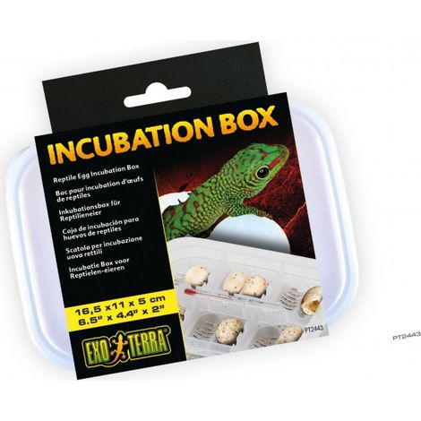 Exo Terra Caja Incubadora de Huevos