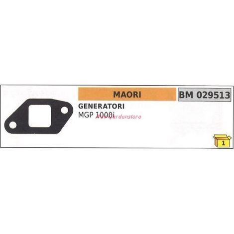 Dichtung Generator MAORI MGP 1000i 029513