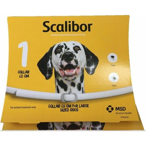 65 cm Antiparasitengürtel für Hunde – Floh- und Zeckenschutz – 12 Monate (1/3)