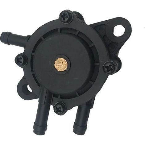 S-giant Pompe à carburant Briggs & Stratton (491922 691034 692313 808492 808656) - Pièce pour moto (1/5)