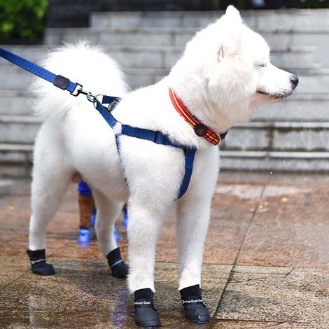 Chaussures Pour Chien - Chaussures Antidérapantes Et Imperméables Pour Chiens - Pour Pluie Neige Glace - Lot De 4 (1/3)