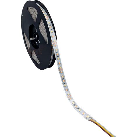 Tira LED CCT 80W/5m 12V color variable Kanlux 33317 (1/5)