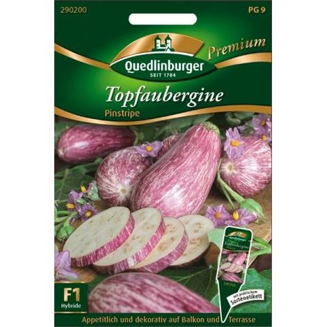 Quedlinburger Topfaubergine Pinstripe - Gemüsesamen (1/2)