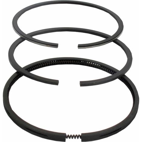 Segment BRIGGS et STRATTON 495854