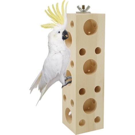 Perchoir en Bois pour Oiseaux - Accessoire de Cage Naturel et Durable pour Perroquets et Perruches (1/5)