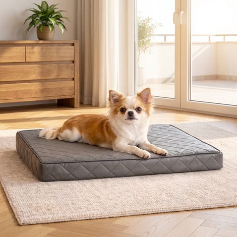 belviona Hundematratze orthopädisch, Memory-Foam Hundematte mit abnehmbarem Bezug, pflegeleicht & rutschfest, 60x40 cm, grau (1/5)