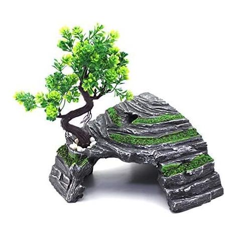 Reptilienunterkunft Terrarium Versteck Schildkrötenrampe Plattform Lebensraum De (1/5)