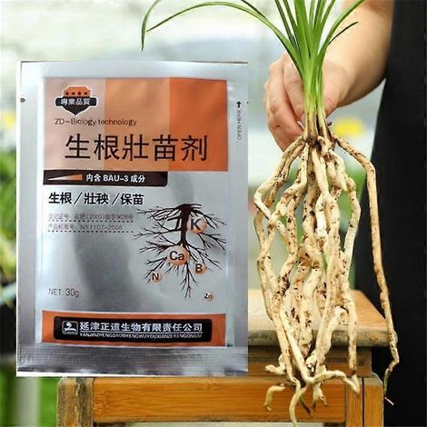 Poudre pour enracinement rapide, agent d'enracinement rapide, favorise la croissance des plantes, racines plus robustes, stimule la sécrétion d'hormones, légumes luxuriants (1/4)
