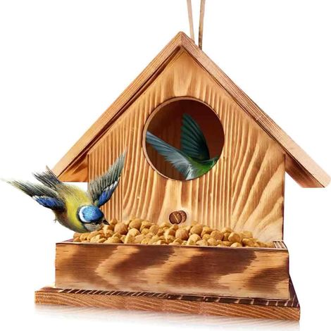 Nichoir Oiseaux - Cabane En Bois Massif - Pour Jardin Et Balcon - Protection Hivernale - 17.2x17.2x17.2cm (1/5)