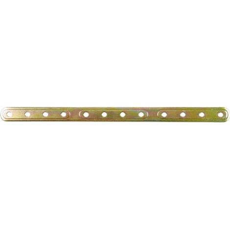 PLACA 505-100X20 ACERO BICROMATADO (S) - AMIG