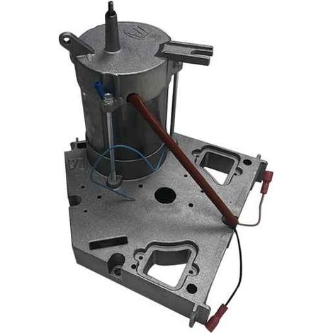 CAME 119RID233 Gruppo Motore Elettrico Per FAST F7000 F7001 F7001E Ricambio