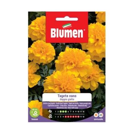 Semi Blumen tagete nano doppio giallo