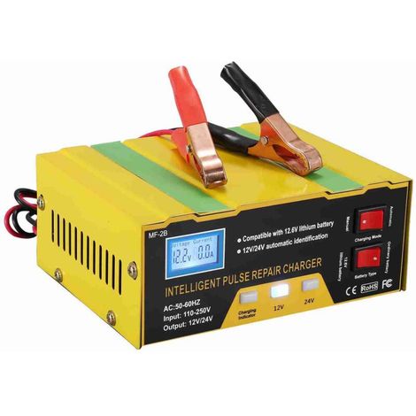 Type de réparation d'impulsions intelligents du chargeur de batterie 12V / 24V avec affichage numérique pour la moto