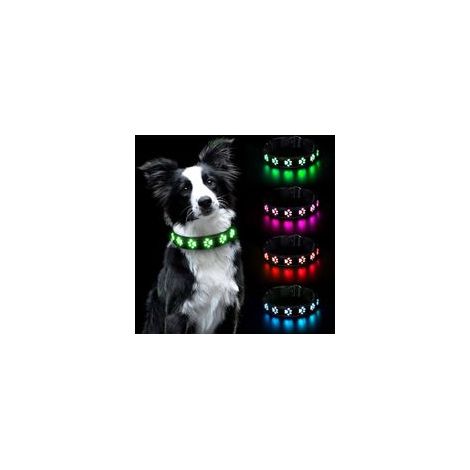 Collier lumineux pour chiens – Rechargeable et étanche – Visibilité 500m – Nylon et cuir PU – Taille S (30-40 cm) – Modes d'éclairage 6 couleurs (1/5)