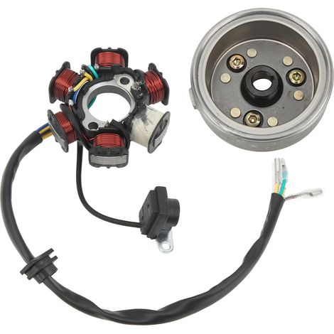 Stator 6 Bobines Plaque Volant Magnétique Galet Haute Résistance Remplacement Pour Moteur GY6 110cc 125cc (1/5)
