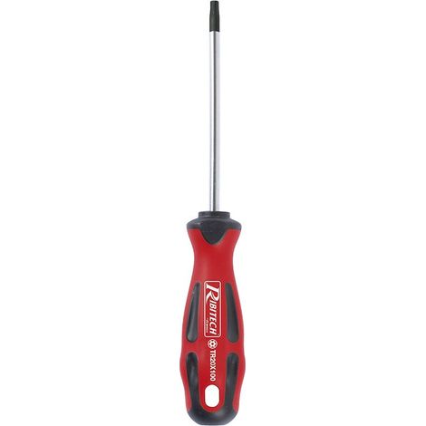 Tournevis Torx T20 5x100 aimanté (1/2)