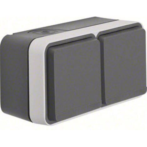 Berker Presa doppia Superficie W.1 Grigio, Grigio luminescente 47843515