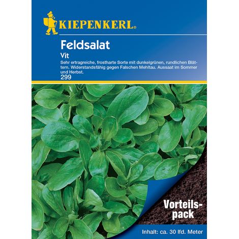 Kiepenkerl Feldsalat Vit Vorteilspack ca. 30 lfd. Meter Gemüsesamen (1/3)