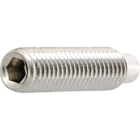 ISO4028 M 6x 12 Edelstahl A2 Gewindestift mit Zapfen Innensechskant (DIN915)
