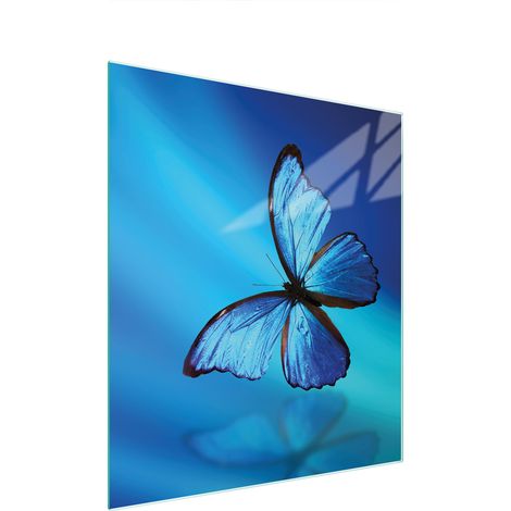 Glasschneidebrett 45x52 Schmetterling (1/5)