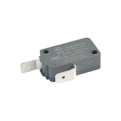 Karcher - microswitch - 66310700 - 4066529144782 (1/2)