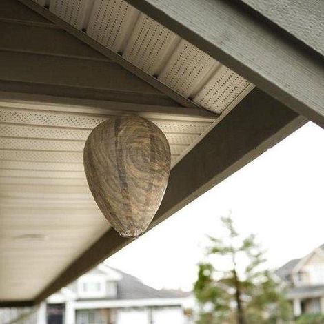 Lanterne extérieure imperméable en tissu anti-guêpes, lanterne en tissu guide-vortex anti-abeilles, lanterne abeille en nid d'abeilles, abat-jour anti-insectes pour le camping. (1/3)