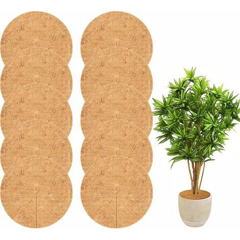 10 Pièces Tapis de Coco Plantes, Tapis de Noix de Coco Disque de Protection Plante, Tapis de Paillage en Fibre de Coco, Protection pour Plantes en Pot, Biodégradable (30 CM) (1/5)
